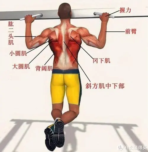 网球拍是什么物体结构类型 网球拍是什么物体结构类型